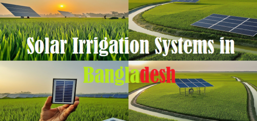 Solar Irrigation Systems Bangladesh, Sustainable Irrigation Bangladesh, Solar Power for Agriculture Bangladesh, Renewable Energy in Bangladesh Agriculture, Climate-Smart Irrigation Bangladesh, Solar Pump Benefits for Farmers Bangladesh, Reducing Irrigation Costs Bangladesh, Government Initiatives for Solar Irrigation Bangladesh, Off-Grid Irrigation Solutions Bangladesh, Increasing Crop Yields with Solar Power Bangladesh, Mitigating Climate Change in Bangladesh Agriculture, The Future of Irrigation in Bangladesh,